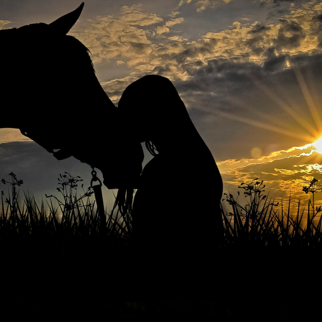 Are Your Inner Thoughts Affecting Your Horse?